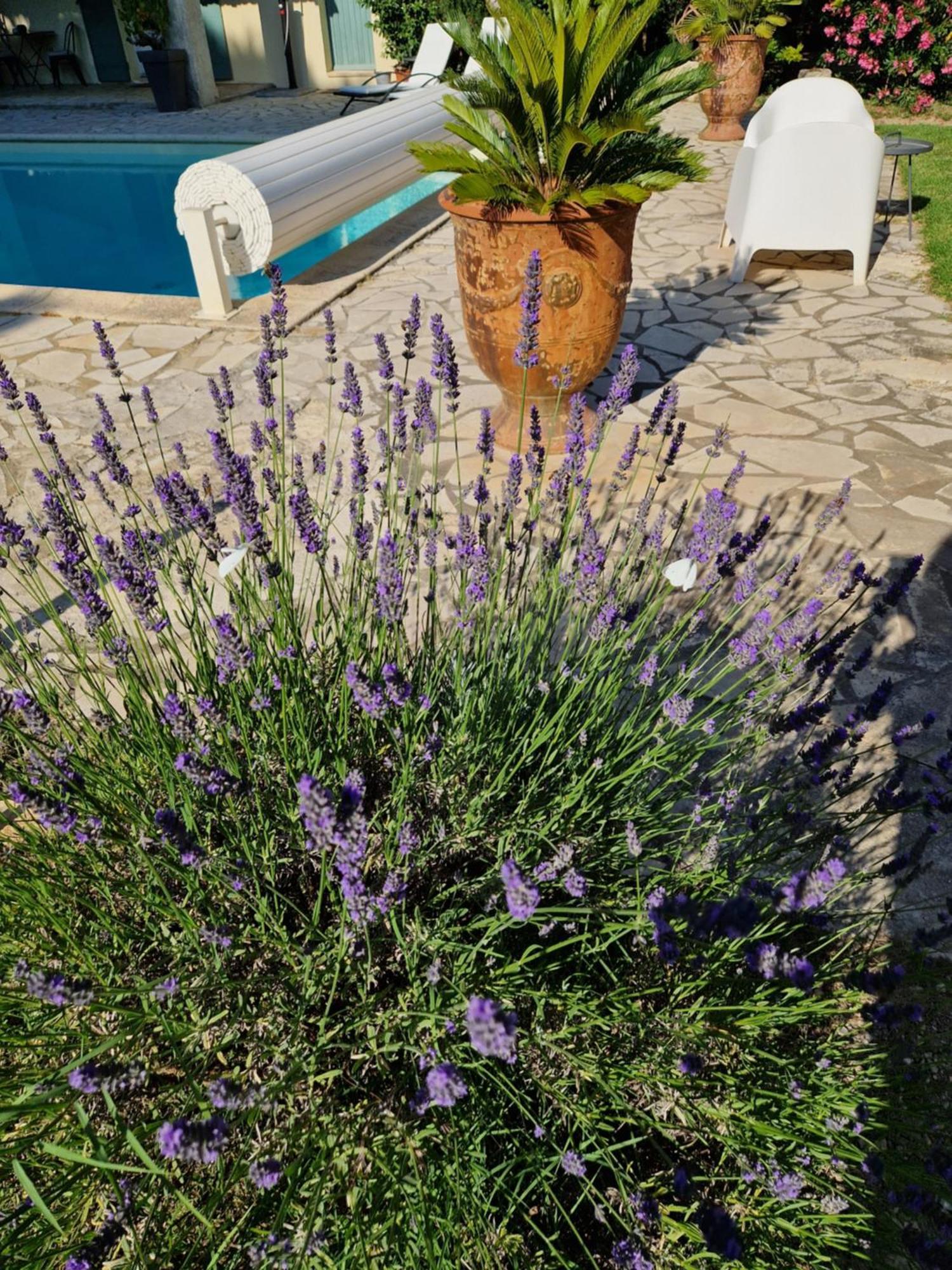 Mas Armelin Bed & Breakfast Tarascon Exterior foto