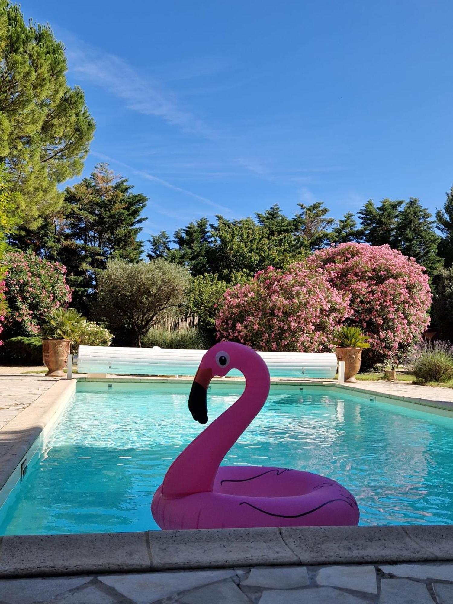 Mas Armelin Bed & Breakfast Tarascon Exterior foto