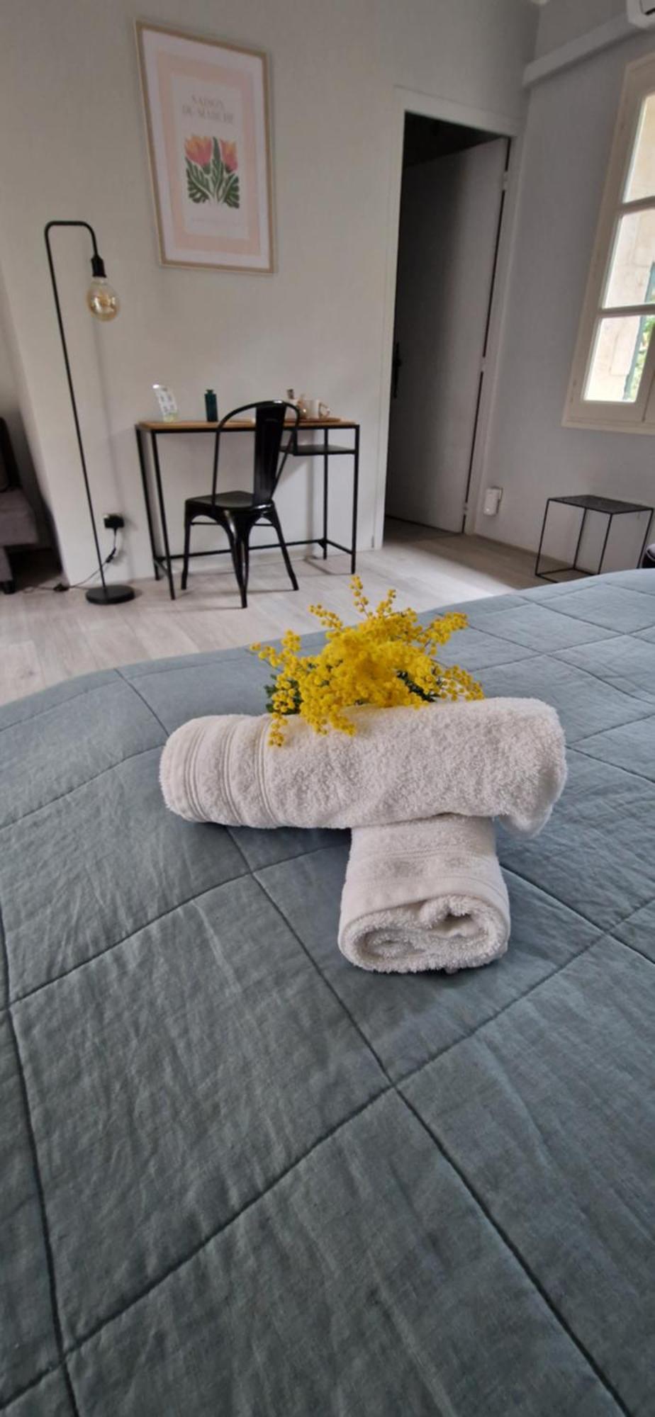 Mas Armelin Bed & Breakfast Tarascon Cameră foto