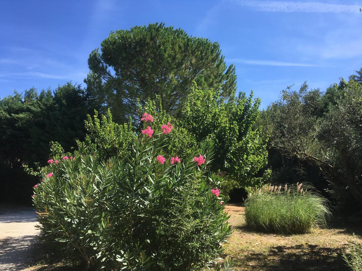 Mas Armelin Bed & Breakfast Tarascon Exterior foto